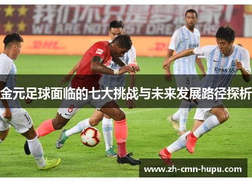 金元足球面临的七大挑战与未来发展路径探析